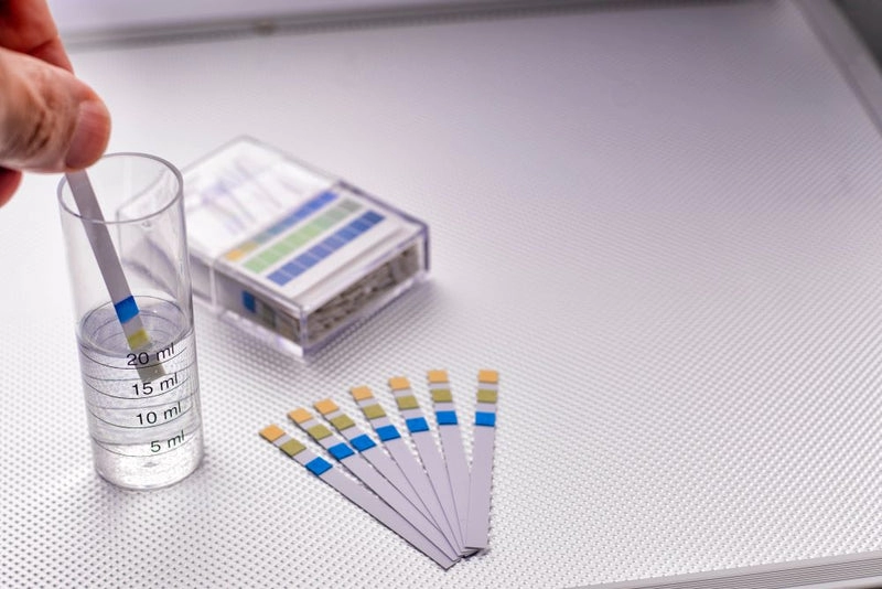 pH water filter types and functions 8E5 pH water filter types and functions
