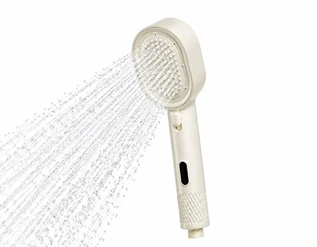 Filtered handheld shower head dispensing water
