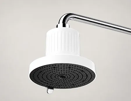 Overhead shower head with integrated filtration