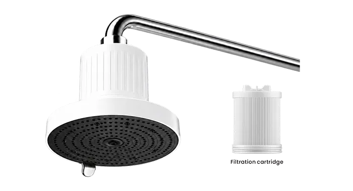 Filtered overhead shower head with its removable cartridge